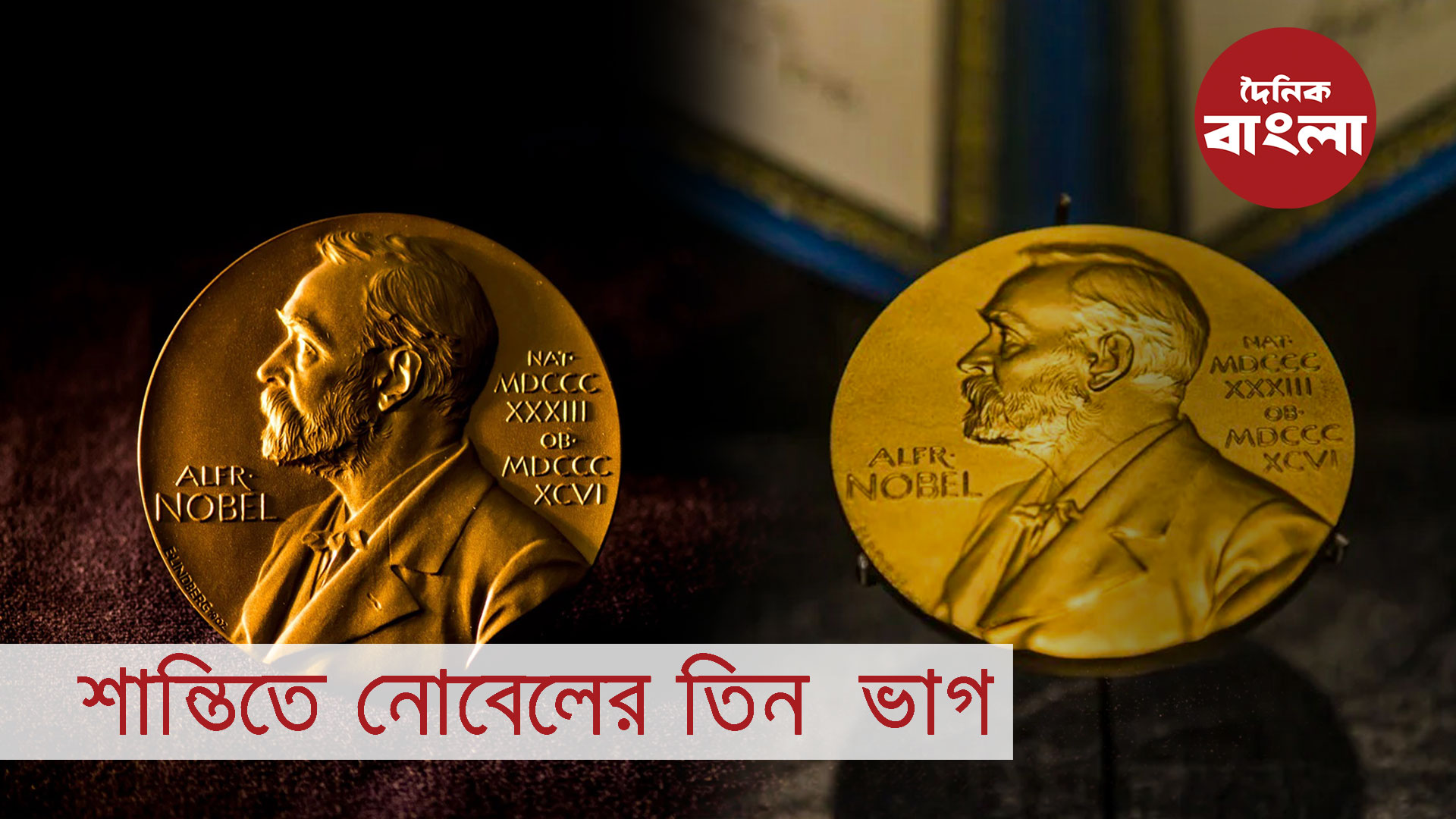 শান্তিতে নোবেলের তিন ভাগ