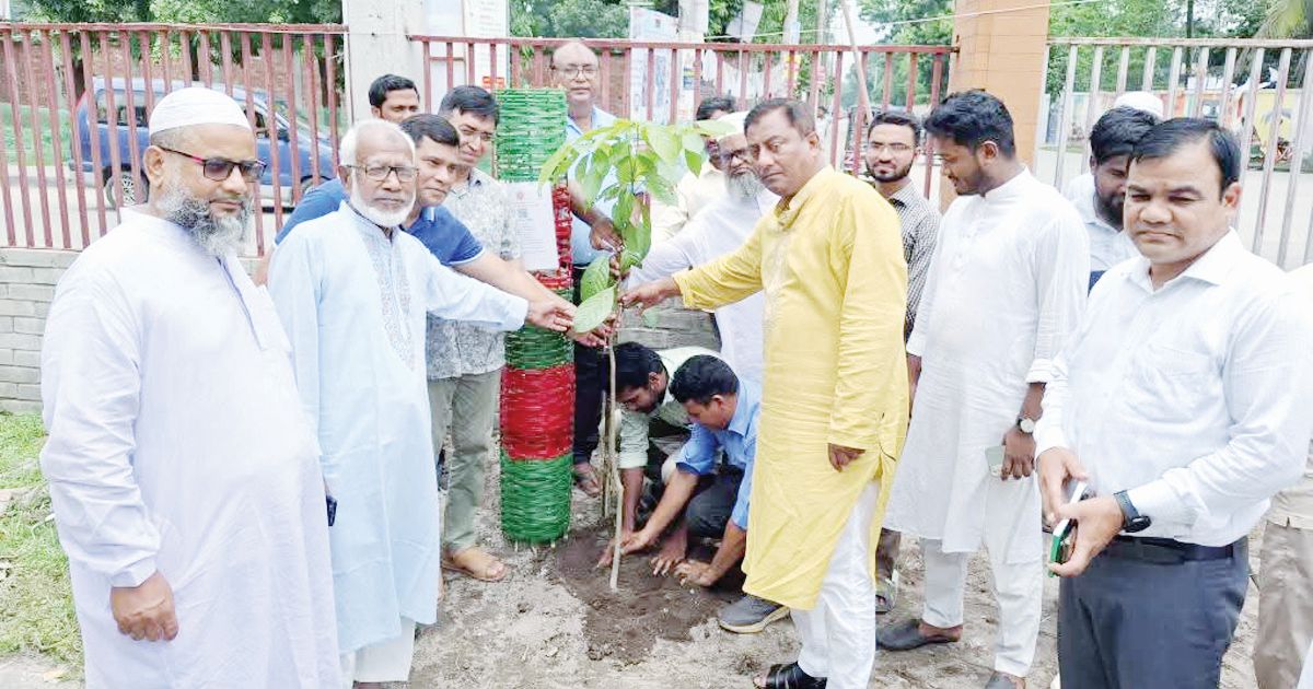 জুলাই যোদ্ধাদের স্মরণে ‘এক শহিদ, এক বৃক্ষ’ কর্মসূচি’