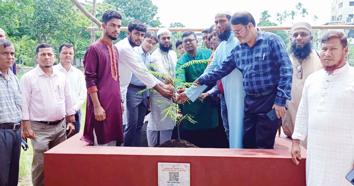 জুলাই যোদ্ধাদের স্মরণে ‘এক শহিদ, এক বৃক্ষ’ কর্মসূচি’