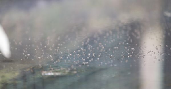 ২৫ অক্টোবরের পর ডেঙ্গুতে মৃত্যুহীন দিন