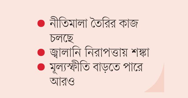 জ্বালানি তেল আমদানি ও বিক্রি বেসরকারি খাতে ছাড়বে সরকার