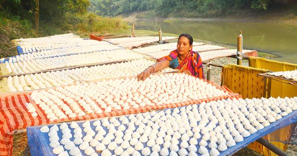 সাবলা গ্রামে কুমড়া বড়িই আয়ের উৎস
