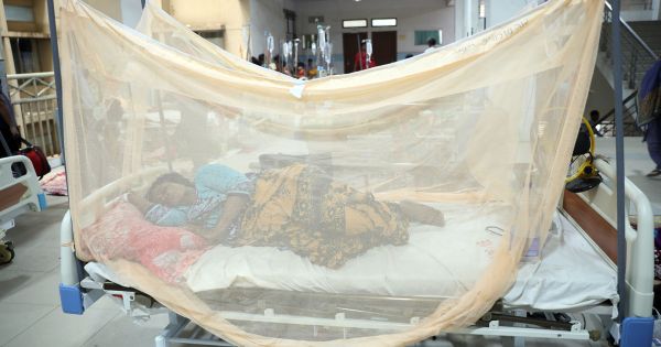 ডেঙ্গুতে আরও ২ মৃত্যু, হাসপাতালে ভর্তি ১৬৩