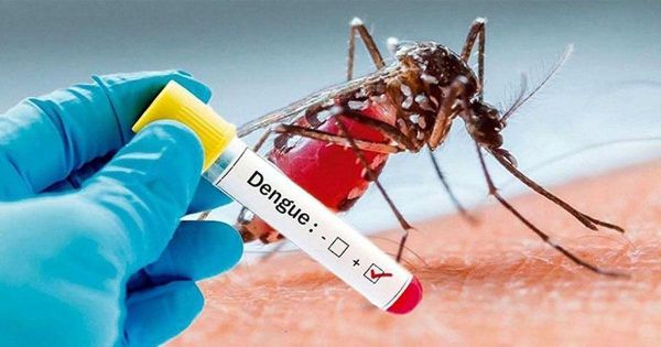ডেঙ্গুতে আরও ২ জনের মৃত্যু