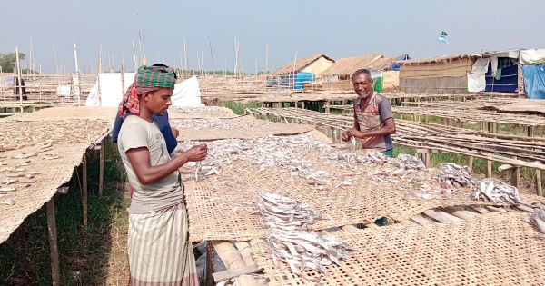 রাজস্ব দিয়েও সেবা পান না জেলেরা